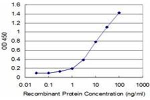 Detection limit for recombinant GST tagged LEF1 is approximately 1ng/ml as a capture antibody. (LEF1 anticorps  (AA 33-138))