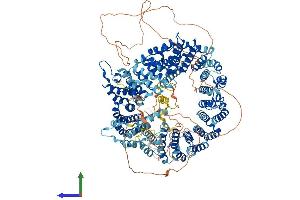 AlphaFold protein structure predicition of Mouse Recombinant Sf3b1 Protein, UniprotID Q99NB9