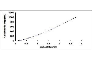 Typical standard curve (LBP Kit ELISA)