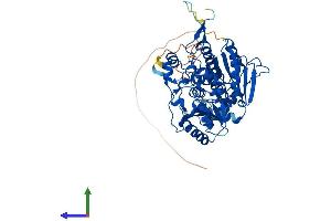 AlphaFold protein structure predicition of Human Recombinant PFKFB3 Protein, UniprotID Q16875