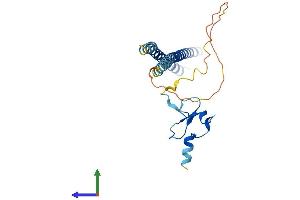 AlphaFold protein structure predicition of Mouse Recombinant Ing5 Protein, UniprotID Q9D8Y8