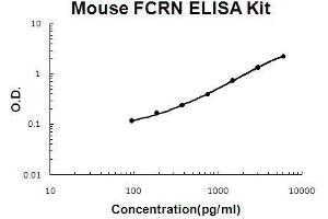 Mouse FCRN/FCGRT PicoKine ELISA Kit standard curve (FcRn Kit ELISA)