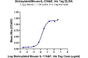 Interleukin-17 A/F Heterodimer (IL-17A/F) (AA 26-158) protein (His-Avi Tag,Biotin)