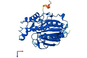 AlphaFold protein structure predicition of Human Recombinant CPPED1 Protein, UniprotID Q9BRF8