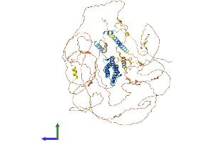 AlphaFold protein structure predicition of Human Recombinant DLGAP4 Protein, UniprotID Q9Y2H0