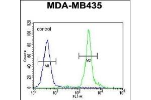 GFRAL Antibody (C-term) ABIN655021 flow cytometric analysis of MDA-M cells (right histogram) compared to a negative control (Rabbit IgG isotype) (left histogram). (GFRAL anticorps  (C-Term))
