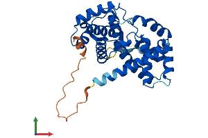 AlphaFold protein structure predicition of Mouse Recombinant Ccnd3 Protein, UniprotID P30282