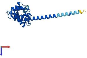 AlphaFold protein structure predicition of Mouse Recombinant Efcab9 Protein, UniprotID Q9DAM2