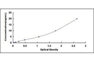 Typical standard curve (BMPR1B Kit ELISA)