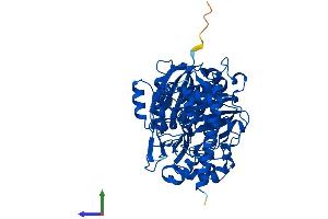 AlphaFold protein structure predicition of Human Recombinant FGGY Protein, UniprotID Q96C11