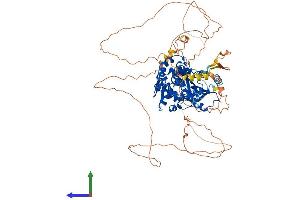 AlphaFold protein structure predicition of Human Recombinant DENND1C Protein, UniprotID Q8IV53