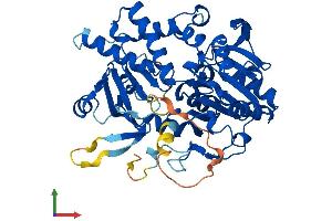 AlphaFold protein structure predicition of Human Recombinant NT5DC1 Protein, UniprotID Q5TFE4