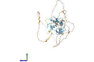 AlphaFold protein structure predicition of Human Recombinant ZNF296 Protein, UniprotID Q8WUU4