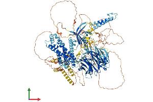 AlphaFold protein structure predicition of Human Recombinant ARHGEF10L Protein, UniprotID Q9HCE6