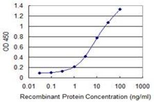 Detection limit for recombinant GST tagged ETV4 is 0. (ETV4 anticorps  (AA 1-207))
