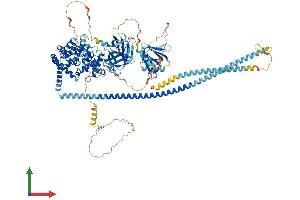 AlphaFold protein structure predicition of Human Recombinant RABGAP1 Protein, UniprotID Q9Y3P9