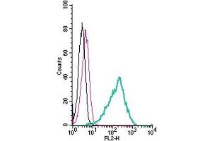 Cell surface detection of GPR84 by direct flow cytometry in live intact mouse  microglia cells: + Rabbit IgG isotype control-PE. (GPR84 anticorps  (Extracellular) (PE))