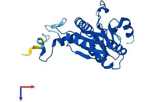 AlphaFold protein structure predicition of Mouse Recombinant Psma5 Protein, UniprotID Q9Z2U1
