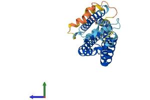 AlphaFold protein structure predicition of Human Recombinant CD37 Protein, UniprotID P11049