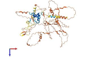 AlphaFold protein structure predicition of Human Recombinant FBXO46 Protein, UniprotID Q6PJ61