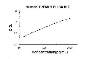 Triggering Receptor Expressed On Myeloid Cells-Like 1 (TREML1) ELISA Kit