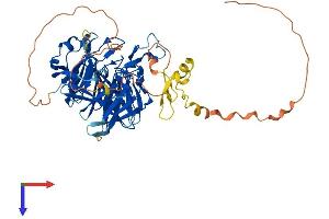 AlphaFold protein structure predicition of Mouse Recombinant Rag2 Protein, UniprotID P21784