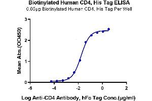 Immobilized Biotinylated Human CD4, His Tag at 0. (CD4 Protein (CD4) (His-Avi Tag,Biotin))