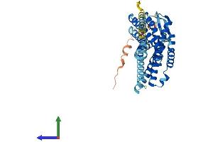 AlphaFold protein structure predicition of Human Recombinant OPRL1 Protein, UniprotID P41146
