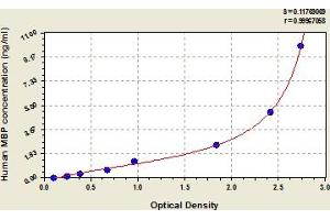 Myelin Basic Protein (MBP) ELISA Kit