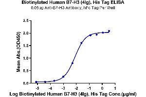 Immobilized Anti-B7-H3 Antibody, hFc Tag at 0.