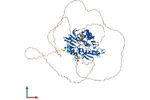 AlphaFold protein structure predicition of Human Recombinant DCLRE1C Protein, UniprotID Q96SD1