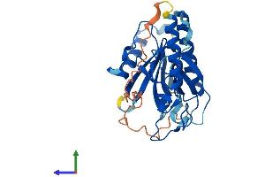 AlphaFold protein structure predicition of Mouse Recombinant Plekhf1 Protein, UniprotID Q3TB82