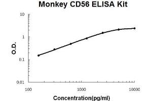 Monkey Primate CD56/NCAM-1 PicoKine ELISA Kit standard curve (CD56 Kit ELISA)