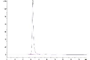 The purity of Biotinylated Human IL-5 R alpha/CD125 is greater than 95 % as determined by SEC-HPLC.
