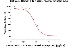 Immobilized Human IL-12B, His Tag (ABIN2181334,ABIN3071755,ABIN6810016) at 2 μg/mL (100 μL/well), can bind  increasing concentrations of A & IL12B MAb (P40 domain) and 0.