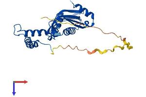 AlphaFold protein structure predicition of Human Recombinant GCH1 Protein, UniprotID P30793