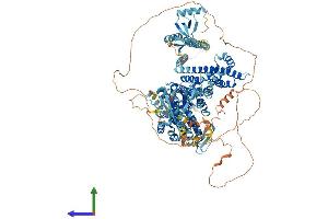 AlphaFold protein structure predicition of Mouse Recombinant Rasgrf1 Protein, UniprotID P27671
