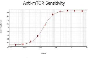 ELISA results of purified Rabbit anti-mTOR Antibody tested against BSA-conjugated peptide of immunizing peptide.