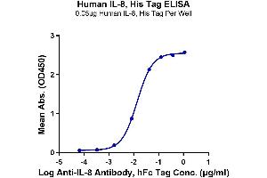 Immobilized Human IL-8, His Tag at 0. (IL-8 Protein (AA 28-99) (His tag))