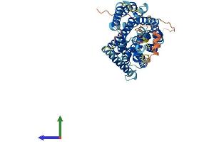 AlphaFold protein structure predicition of Mouse Recombinant Slc38a3 Protein, UniprotID Q9DCP2
