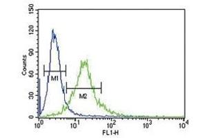 Ku70 antibody flow cytometric analysis of 293 cells (green) compared to a negative control (blue).