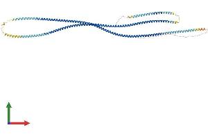 AlphaFold protein structure predicition of Human Recombinant TSGA10 Protein, UniprotID Q9BZW7