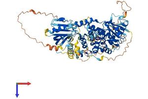 AlphaFold protein structure predicition of Mouse Recombinant Mtmr11 Protein, UniprotID Q3V1L6