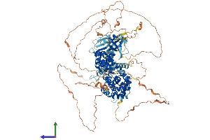 AlphaFold protein structure predicition of Human Recombinant RALGDS Protein, UniprotID Q12967