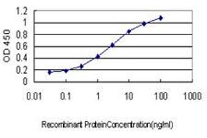 Detection limit for recombinant GST tagged EIF2AK2 is approximately 0.