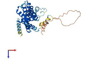 AlphaFold protein structure predicition of Human Recombinant TMEM38A Protein, UniprotID Q9H6F2