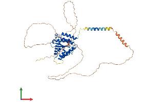 AlphaFold protein structure predicition of Mouse Recombinant Tor1aip2 Protein, UniprotID Q8BYU6