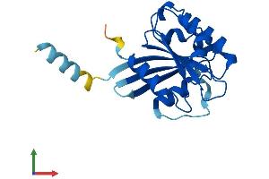 AlphaFold protein structure predicition of Mouse Recombinant Arl8b Protein, UniprotID Q9CQW2