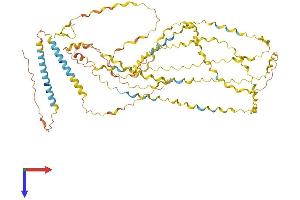 AlphaFold protein structure predicition of Human Recombinant COL25A1 Protein, UniprotID Q9BXS0