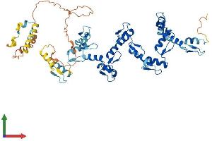 AlphaFold protein structure predicition of Human Recombinant ZNF136 Protein, UniprotID P52737
